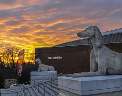 image of King Tut statue - King Tut, SIU's First Saluki Mascot est. 1951